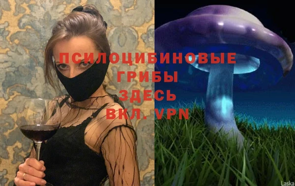 гашик Абинск